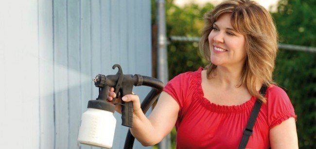Paint Sprayer Reviews